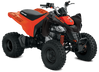 2025 DS 250