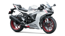 2025 Ninja ZX-6R