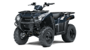 2025 Brute Force 300