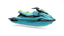 2025 WaveRunner VX