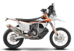 2025 RALLY REPLICA
