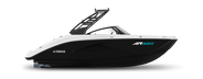2025 AR220