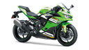 2025 Ninja ZX-4RR
