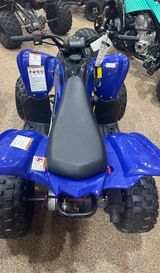 2024 Yamaha Raptor 110