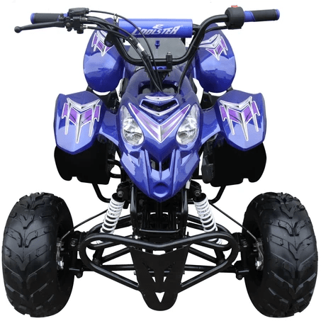 2025 Trailmaster Mini Mini 110 Sport (6") 3050C