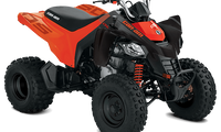 2025 DS 250