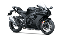 2025 Ninja ZX-10R