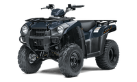 2025 Brute Force 300
