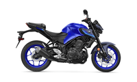 2025 MT-03
