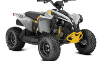 2025 Renegade EFI