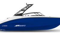 2025 AR250