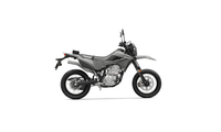 2025 KLX 300SM