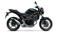 2025 SV