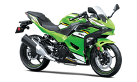 2025 Ninja 500