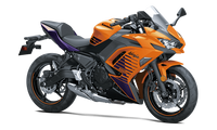 2025 Ninja 650