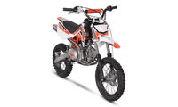 2025 TSD 110