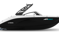 2025 AR220