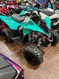 2024 Yamaha RAPTOR 110