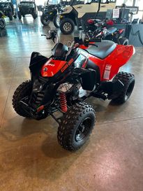 2024 Can-Am DS 250 