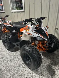 NEW 2026 KAYO PREDATOR 125 