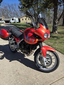 Used 2005 Triumph  Tiger 955i