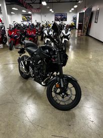 2025 Honda CB300R 