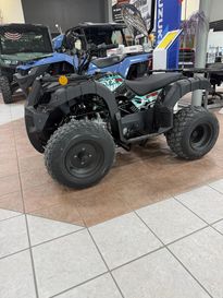 New 2026 Ice Bear Powersports GRZ150 