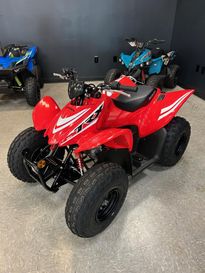 New 2025 Honda TRX90XS 