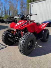 New 2025 HONDA-ATV TRX90X 