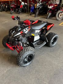 New 2025 Can-Am Renegade XXC 110 