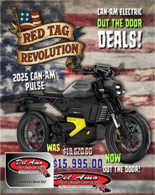 2025 Can-Am Pulse 