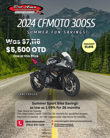 2024 CFMOTO 300SS 