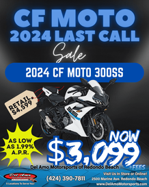 2024 CFMOTO 300SS