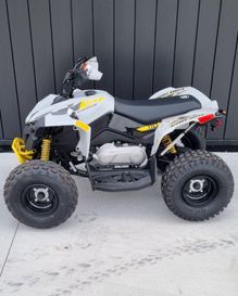 NEW 2026 CAN-AM RENEGADE 110 EFI 