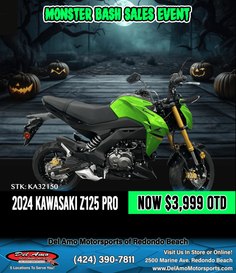 2024 Kawasaki Z125 PRO