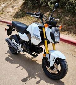 2026 HONDA GROM PEARL WHITE 