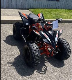 2025 KAYO PREDATOR 110 BLACK 