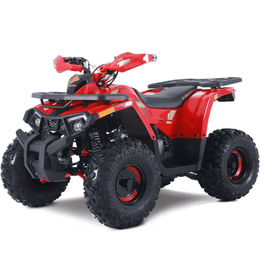 New 2026 Denago TRAILHAWK 10 FI 