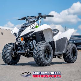 New 2026 Kawasaki KFX50 