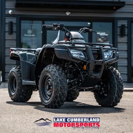 2024 Honda FourTrax Recon Base 