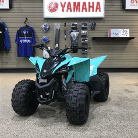 2025 Yamaha YFZ 50