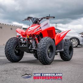 New 2025 Honda TRX 90X 