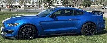 Used 2019 Ford Mustang Shelby GT350