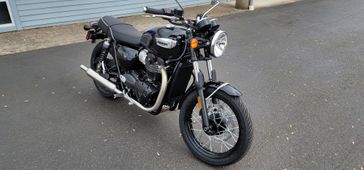 2024 Triumph Bonneville T100 Sapphire Blue / Silver 