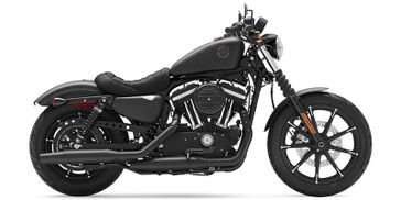 2020 HARLEY Sportster Iron 883