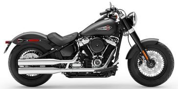 2019 Harley-Davidson Softail