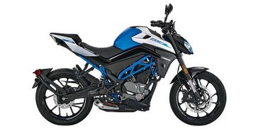 2023 CFMOTO 300NK CF300US