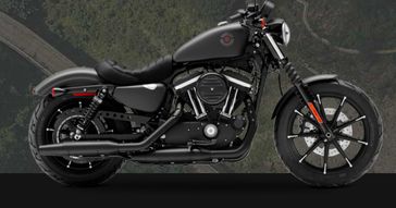 Used 2019 Harley-Davidson XL883N &sol; IRON 883 