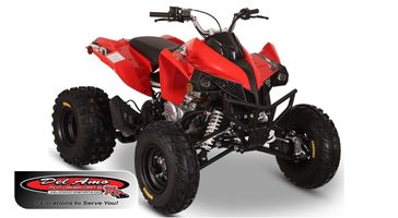 New 2026 Kayo STORM 300 