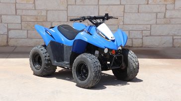 2020 KAWASAKI KFX 90 